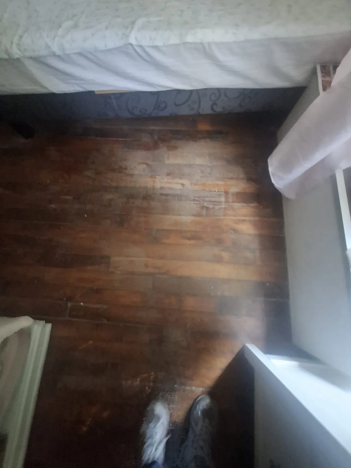 Pièce entièrement vidée, parquet dégagé, après une intervention de débarras